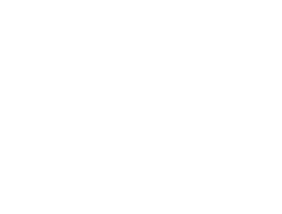 Savez 20 godina